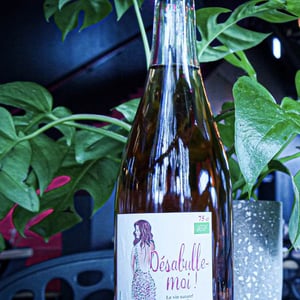 Désabulle-moi ! (Rosé) - La Grange de Noue Méa - marie-percevault-herve-bosse