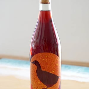 Kite Duck - Bairrada - Joao Pato (a.k.a Duckman) 