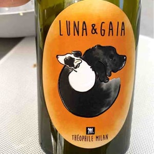 Luna & Gaia - Domaine Milan - Emma, Théophile & Henri Milan 