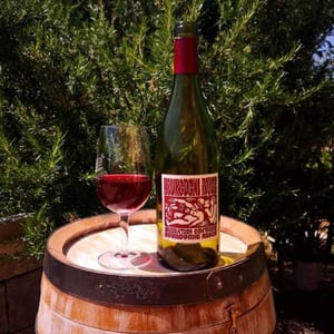 Bourgogne La Soeur Cadette - Domaine de la Soeur Cadette - Jean & Valentin Montanet -2020