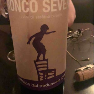 Refosco Dal Peduncolo Rosso - Ronco Severo - Stefano Novello 