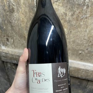 Terres Chaudes - Domaine des Roches Neuves - thierry-et-louis-germain