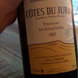 Chardonnay Les Lumachelles - Domaine des Cavarodes - Etienne Thiebaud 