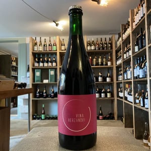 Pét-Nat Rosé - Vina Herzanovi - Vina Herzanovi -2020
