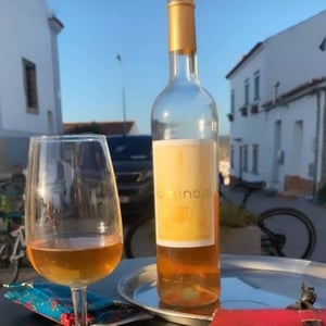 Luminoso - Courelas Da Torre - Família Falé -2022