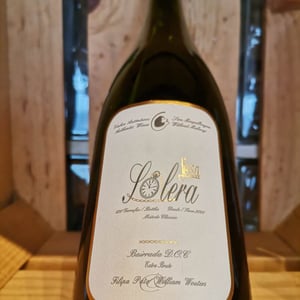 Solera - Filipa Pato - Filipa Pato & William Wouters 