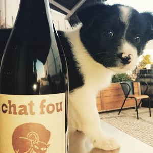 Chat Fou - Domaine Eric Texier - laurence-et-eric-texier