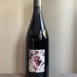 Poignée de Raisin - Domaine Gramenon - michele-aubery-laurent-maxime-francois-laurent