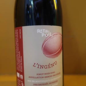 L'Ingénu - Ratapoil - estelle-raphael-monnier