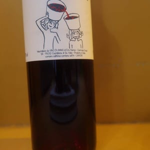 Palmentino - Vino di Anna - anna-martens-eric-narioo