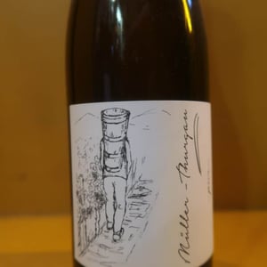 Müller Thurgau - Brand Bros - Weingut Brand - daniel-jonas-brand