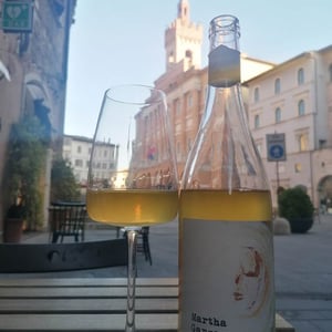 Martha - Azienda agricola Masiero - Masiero -2020