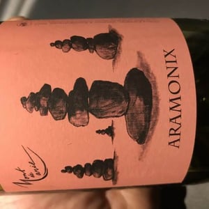 Aramonix - Mont de Marie - thierry-forestier