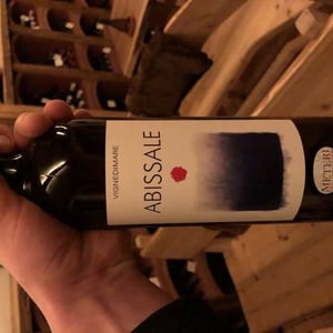 Abissale - Vignedimare - Vignedimare - Nino Caravaglio 