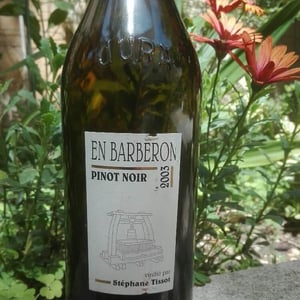 Domaine André & Mireille Tissot - Bénédicte & Stéphane Tissot - En Barberon Pinot Noir