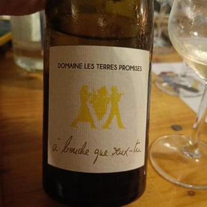 À Bouche Que Veux-Tu - Les Terres Promises - jean-christophe-comor