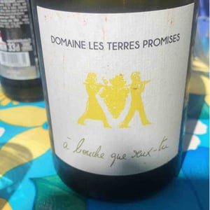 À Bouche Que Veux-Tu - Les Terres Promises - jean-christophe-comor