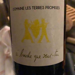 Les Terres Promises - Jean-Christophe Comor - À Bouche Que Veux-Tu