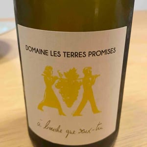 Les Terres Promises - Jean-Christophe Comor - À Bouche Que Veux-Tu