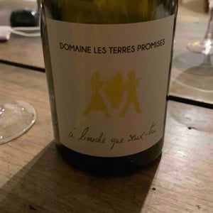 Les Terres Promises - Jean-Christophe Comor - À Bouche Que Veux-Tu