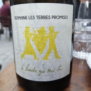 Les Terres Promises - Jean-Christophe Comor - À Bouche Que Veux-Tu