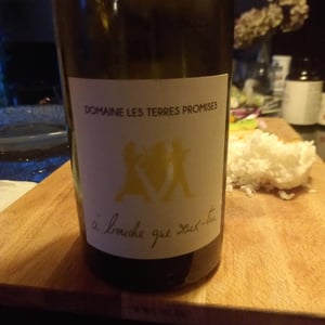 À Bouche Que Veux-Tu - Les Terres Promises - jean-christophe-comor
