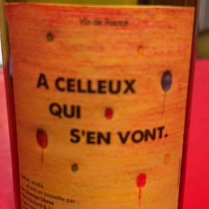 A celleux qui s’en vont - Les champs libres - rene-jean-dard-herve-souhaut -2022