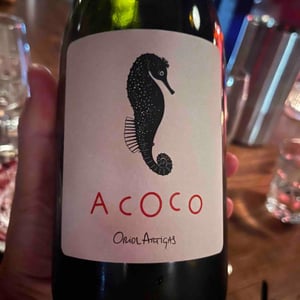 Mas Pellisser - Oriol Artigas - A coco