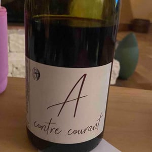 A Contre Courant - Clos Belle Croix - Reynald Héaulé 