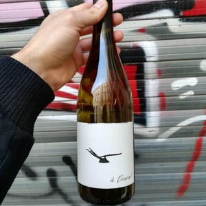 Domaine des Amiel - Aymeric & Jordan Amiel - À Coural