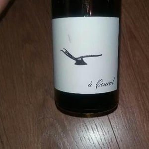 Domaine des Amiel - Aymeric & Jordan Amiel - À Coural