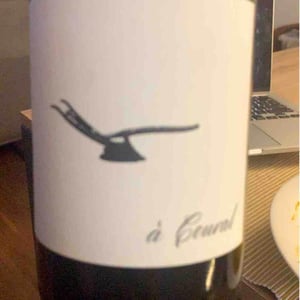 Domaine des Amiel - Aymeric & Jordan Amiel - À Coural