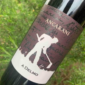 A Delmo - Ancarani - Rita Babini & Claudio Ancarani 