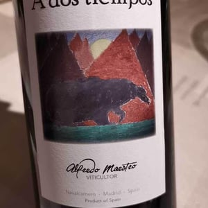 A Dos Tiempos - Bodegas y Viñedos Maestro Tejero - Alfredo Maestro Tejero 