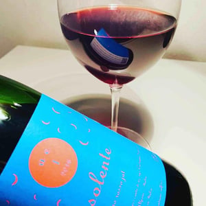 Vino Rosso Jat - Insolente Vini - luca-elettri