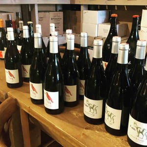 A gem for natural wines just outside Brussels - Fruits de la Passion