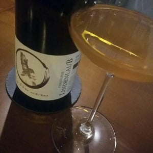 Lindenlaub - Christophe Lindenlaub - A Griffes Acérées