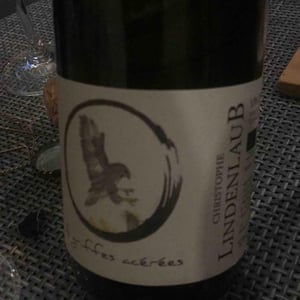 Lindenlaub - Christophe Lindenlaub - A Griffes Acérées