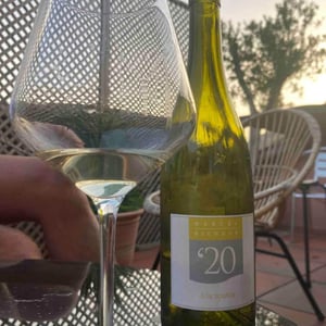 À la Source Blanc - Domaine Marcel Richaud - Marcel Richaud -2024