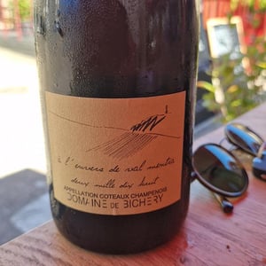 À l'envers de Val Mentra - Champagne Bichery - hannah-raphael-piconnet -2018
