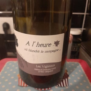 A L'heure Où Blanchit La Campagne - Les Vigneaux - helene-christophe-comte -2022