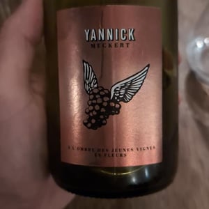À L’ombre Des Jeunes Vignes En Fleurs - Yannick Meckert - Yannick Meckert -2021