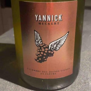À L’ombre Des Jeunes Vignes En Fleurs - Yannick Meckert - Yannick Meckert -2021