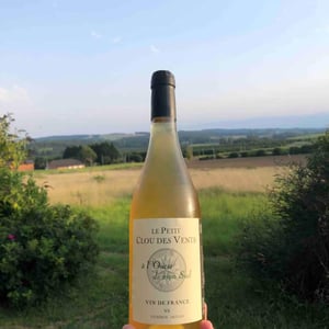 A L'ouest De Mon Sud (Blanc) - Le Petit Clou des Vents - sylvain-jougla