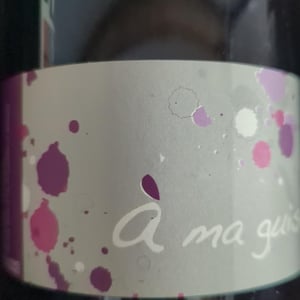 À Ma Guise - Les Terres Promises - jean-christophe-comor