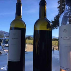 A Mandria - Clos Signadore - christophe-ferrandis