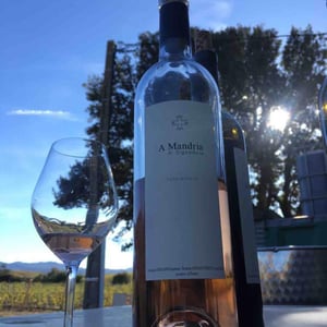 A Mandria - Clos Signadore - christophe-ferrandis