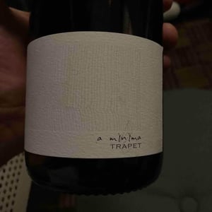 À Minima (Rouge) - Domaine Jean Trapet Père et Fils - jean-louis-trapet