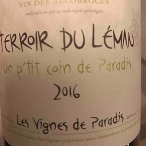 Les Vignes de Paradis - Dominique Lucas - Un P'tit Coin de Paradis