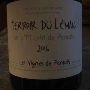 Les Vignes de Paradis - Dominique Lucas - Un P'tit Coin de Paradis